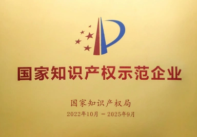 National Intellectual Property Demonstration Enterprise in 2022